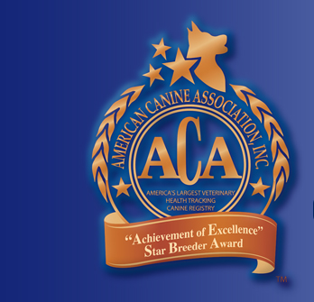 American Canine Association, Star Breeder, Program, Dog, breeder, pup, puppies, kennel, ACA, AKC, APR, breeding, litter 