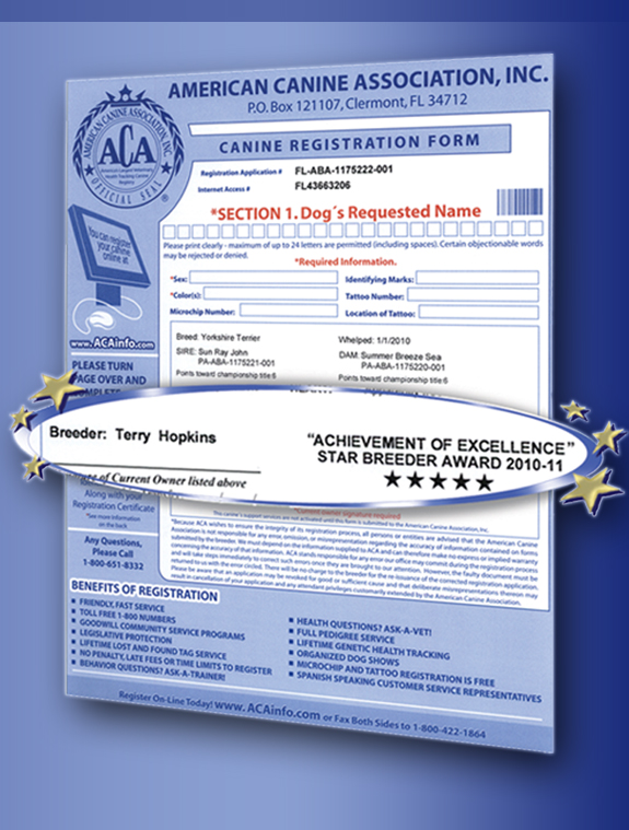 American Canine Association, Star Breeder, Program, Dog, breeder, pup, puppies, kennel, ACA, AKC, APR, breeding, litter 