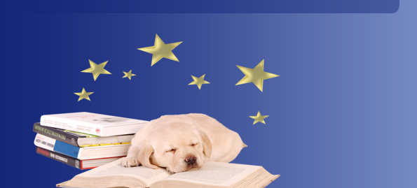 American Canine Association, Star Breeder, Program, Dog, breeder, pup, puppies, kennel, ACA, AKC, APR, breeding, litter 
