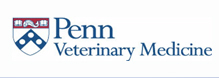 American Canine Association, Star Breeder, Program, Dog, breeder, pup, puppies, kennel, ACA, AKC, APR, breeding, litter 